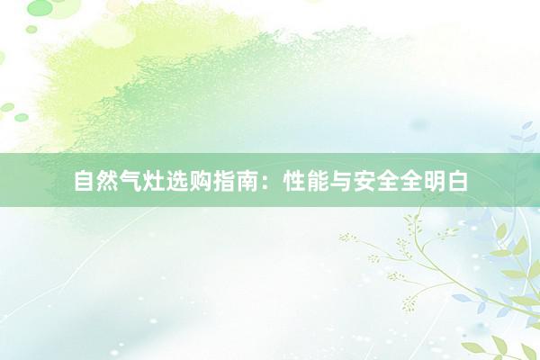 自然气灶选购指南：性能与安全全明白